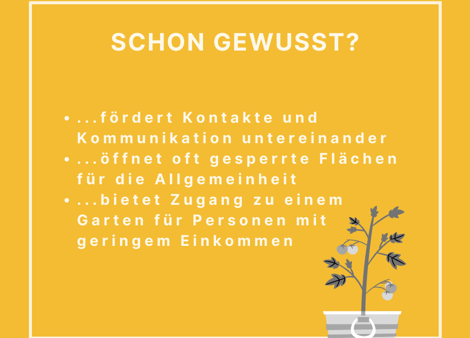 Urbaner Gartenbau – Gärtnern in der Stadt